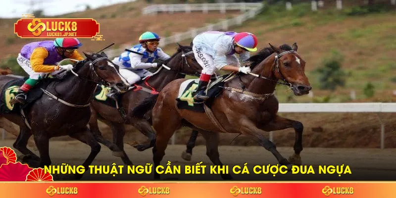 Những thuật ngữ cần biết khi cá cược đua ngựa